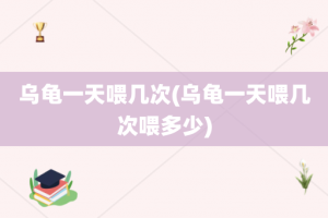 乌龟一天喂几次(乌龟一天喂几次喂多少)