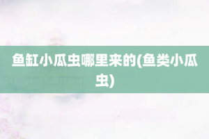 鱼缸小瓜虫哪里来的(鱼类小瓜虫)