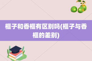 榧子和香榧有区别吗(榧子与香榧的差别)