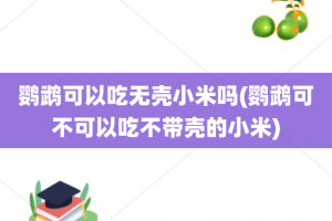 鹦鹉可以吃无壳小米吗(鹦鹉可不可以吃不带壳的小米)