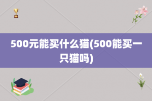 500元能买什么猫(500能买一只猫吗)