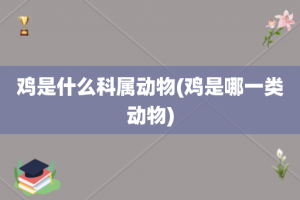 鸡是什么科属动物(鸡是哪一类动物)