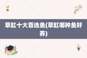 草缸十大首选鱼(草缸哪种鱼好养)