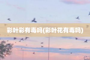 彩叶彩有毒吗(彩叶花有毒吗)