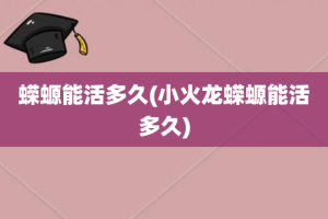 蝾螈能活多久(小火龙蝾螈能活多久)