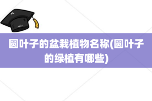 圆叶子的盆栽植物名称(圆叶子的绿植有哪些)