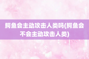 鳄鱼会主动攻击人类吗(鳄鱼会不会主动攻击人类)