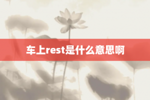 车上rest是什么意思啊