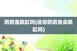 鹦鹉鱼跳缸吗(迷你鹦鹉鱼会跳缸吗)