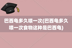巴西龟多久喂一次(巴西龟多久喂一次食物这种是巴西龟)