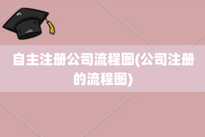 自主注册公司流程图(公司注册的流程图)