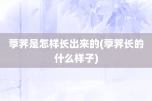 荸荠是怎样长出来的(荸荠长的什么样子)