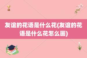 友谊的花语是什么花(友谊的花语是什么花怎么画)