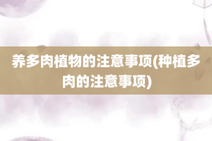 养多肉植物的注意事项(种植多肉的注意事项)