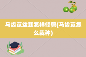 马齿苋盆栽怎样修剪(马齿苋怎么栽种)