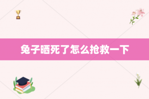 兔子晒死了怎么抢救一下