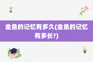 金鱼的记忆有多久(金鱼的记忆有多长?)