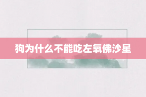 狗为什么不能吃左氧佛沙星