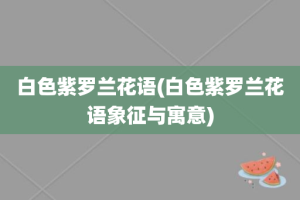 白色紫罗兰花语(白色紫罗兰花语象征与寓意)