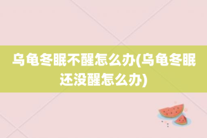 乌龟冬眠不醒怎么办(乌龟冬眠还没醒怎么办)