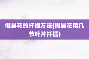 假昙花的扦插方法(假昙花用几节叶片扦插)