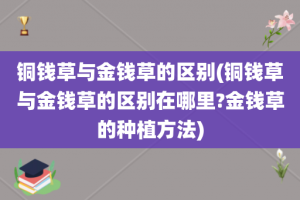 铜钱草与金钱草的区别(铜钱草与金钱草的区别在哪里?金钱草的种植方法)