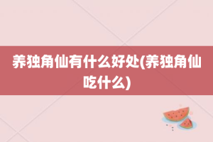 养独角仙有什么好处(养独角仙吃什么)