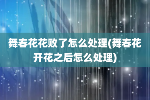 舞春花花败了怎么处理(舞春花开花之后怎么处理)
