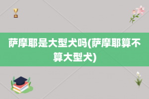 萨摩耶是大型犬吗(萨摩耶算不算大型犬)