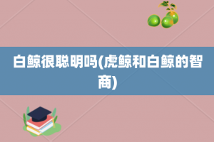 白鲸很聪明吗(虎鲸和白鲸的智商)