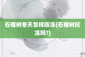 石榴树冬天怎样防冻(石榴树抗冻吗?)