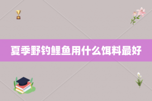夏季野钓鲤鱼用什么饵料最好