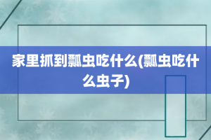 家里抓到瓢虫吃什么(瓢虫吃什么虫子)