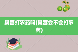 桑葚打农药吗(桑葚会不会打农药)
