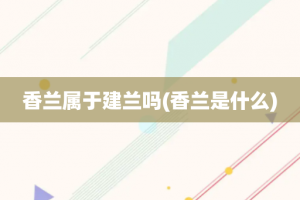 香兰属于建兰吗(香兰是什么)