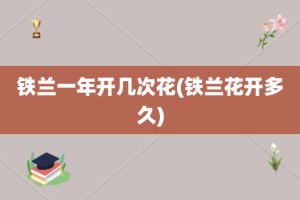 铁兰一年开几次花(铁兰花开多久)