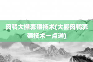肉鸭大棚养殖技术(大棚肉鸭养殖技术一点通)