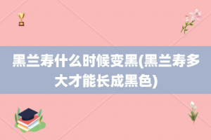 黑兰寿什么时候变黑(黑兰寿多大才能长成黑色)