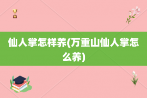 仙人掌怎样养(万重山仙人掌怎么养)