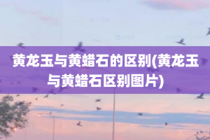 黄龙玉与黄蜡石的区别(黄龙玉与黄蜡石区别图片)
