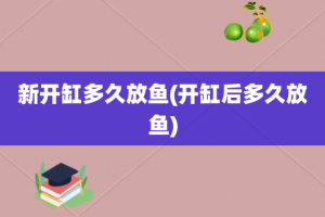 新开缸多久放鱼(开缸后多久放鱼)