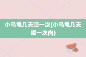 小乌龟几天喂一次(小乌龟几天喂一次肉)