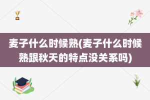 麦子什么时候熟(麦子什么时候熟跟秋天的特点没关系吗)