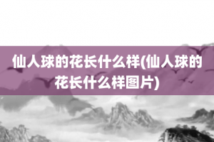 仙人球的花长什么样(仙人球的花长什么样图片)