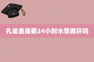 孔雀鱼需要24小时水泵循环吗