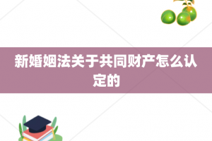 新婚姻法关于共同财产怎么认定的
