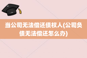 当公司无法偿还债权人(公司负债无法偿还怎么办)
