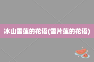 冰山雪莲的花语(雪片莲的花语)