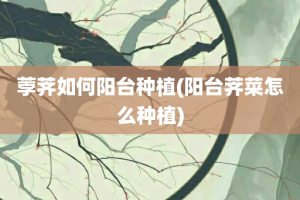 荸荠如何阳台种植(阳台荠菜怎么种植)