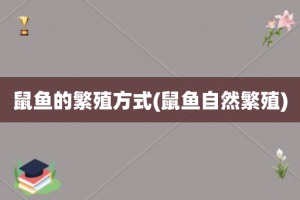 鼠鱼的繁殖方式(鼠鱼自然繁殖)